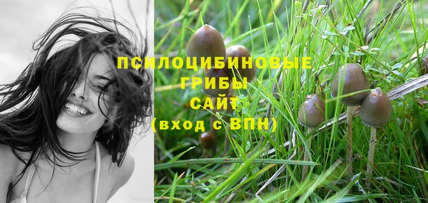 прущая мука Арсеньев