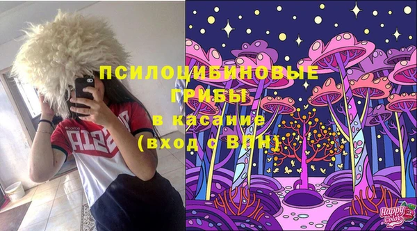 бошки Аркадак